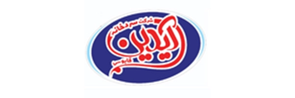 aidin logo